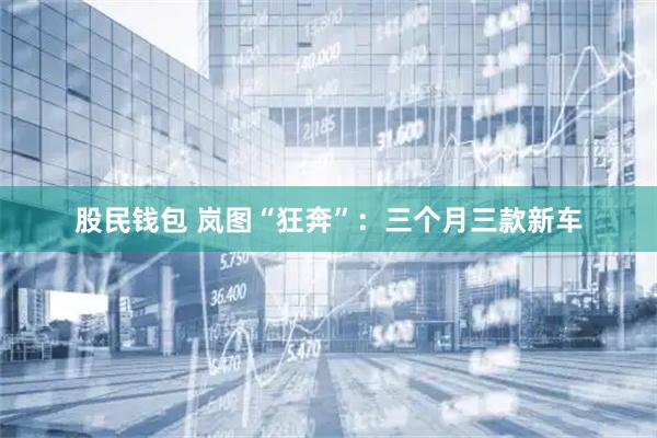 股民钱包 岚图“狂奔”：三个月三款新车