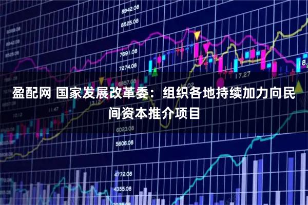 盈配网 国家发展改革委：组织各地持续加力向民间资本推介项目