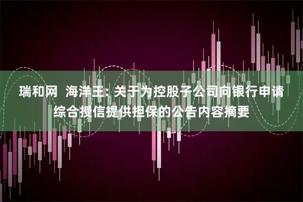 瑞和网 海洋王: 关于为控股子公司向银行申请综合授信提供担保的公告内容摘要
